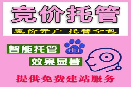 实战案例分析：如何通过竞价推广公司提升转化率